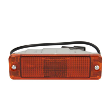 Ліхтар покажчика повороту Ман Ф2000 правий/лівий у бампері MAN F2000 01.94- 81253206082