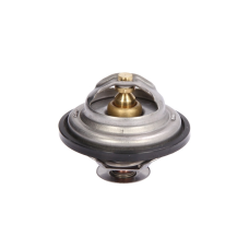 Термостат Івеко Єврокарго/ Термостат охолоджувальної рідини 79 °C IVECO EUROCARGO I-III, M, MAGIRUS